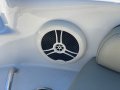 Sea Ray 240 Sundeck risers and exhausts replaced 3 years ago.