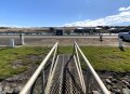 Mannum Waters 10M Berth Sale Location Location Location