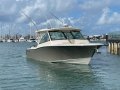 Grady-White Freedom 375