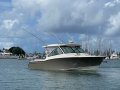 Grady-White Freedom 375