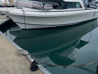 Bertram Caribbean 26 Flybridge