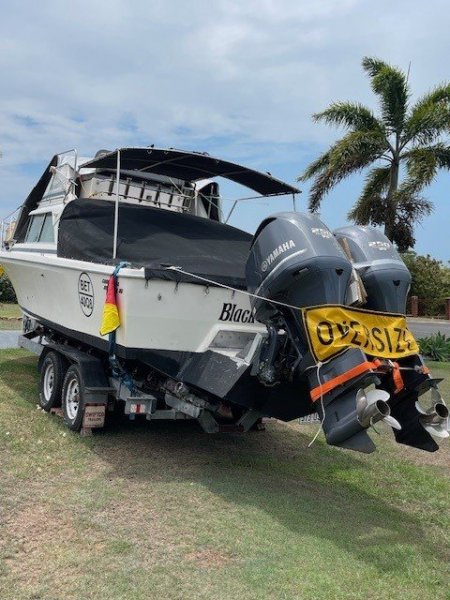 Bertram Caribbean 26 Flybridge