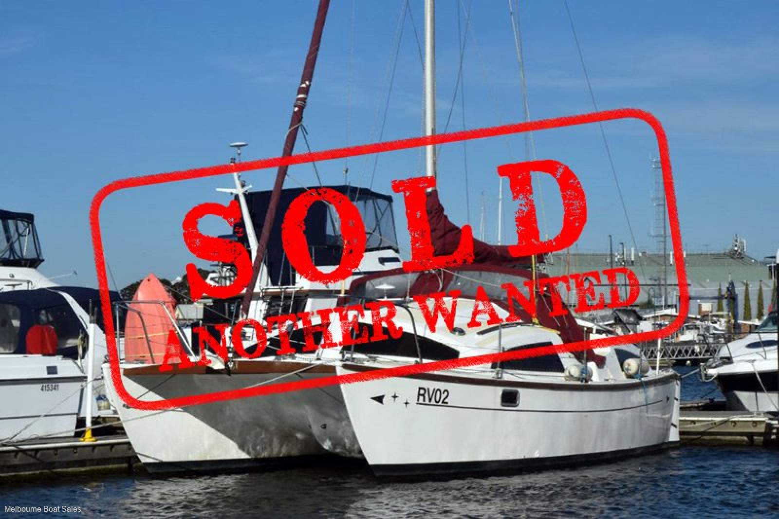 Heavenly Twins 27 Cat - SOLD