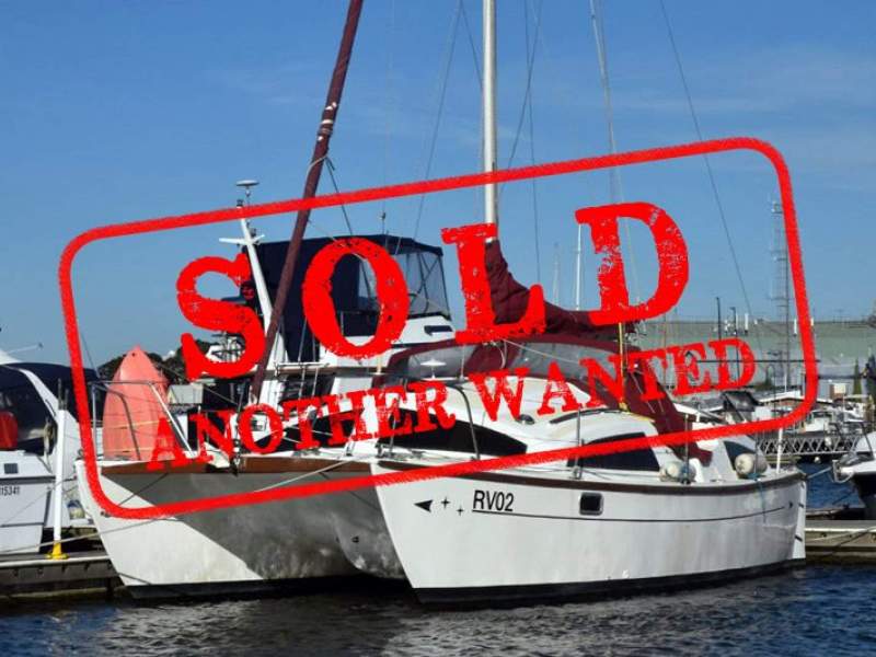 Heavenly Twins 27 Cat - SOLD