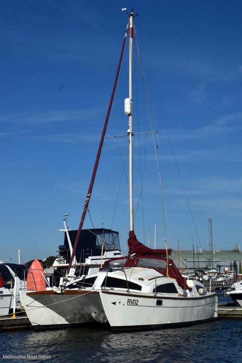 Heavenly Twins 27 Cat - SOLD