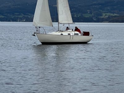 Contessa 26