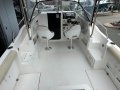 Whittley 2100 Walkaround - 150 HP 4 stroke showing 360 hours