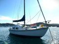 Daydream 28