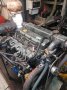 Expedition / Fishing / Charter / Dive Vessel