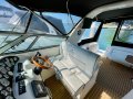 Mustang 3800 Sportscruiser