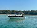 Mustang 3800 Sportscruiser