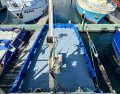 Carvel Fremantle Ship Yard Utility Vessel