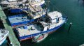 22.64m Aquaculture Service Vessel