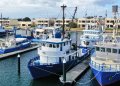 22.64m Aquaculture Service Vessel