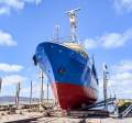 Adelaide Ship Construction Tuna Purse Seiner