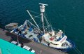 Adelaide Ship Construction Tuna Purse Seiner