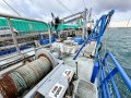 Adelaide Ship Construction Tuna Purse Seiner