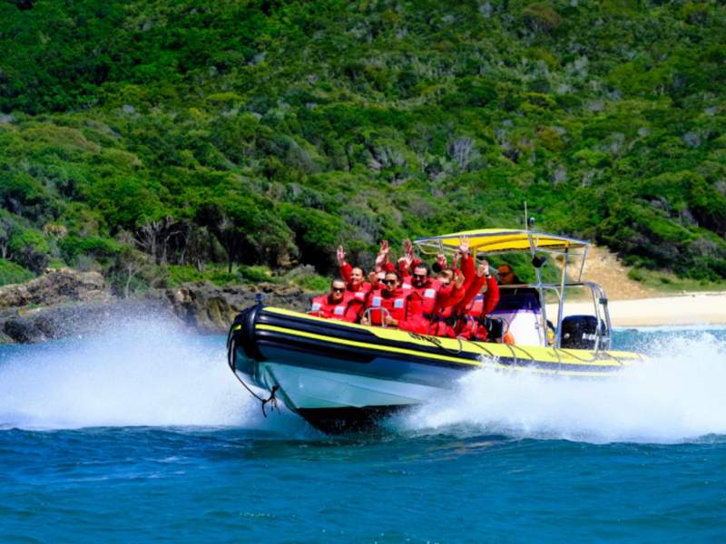 Gemini Waverider 850