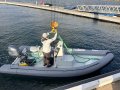 Fareast 480 RIB - In stock