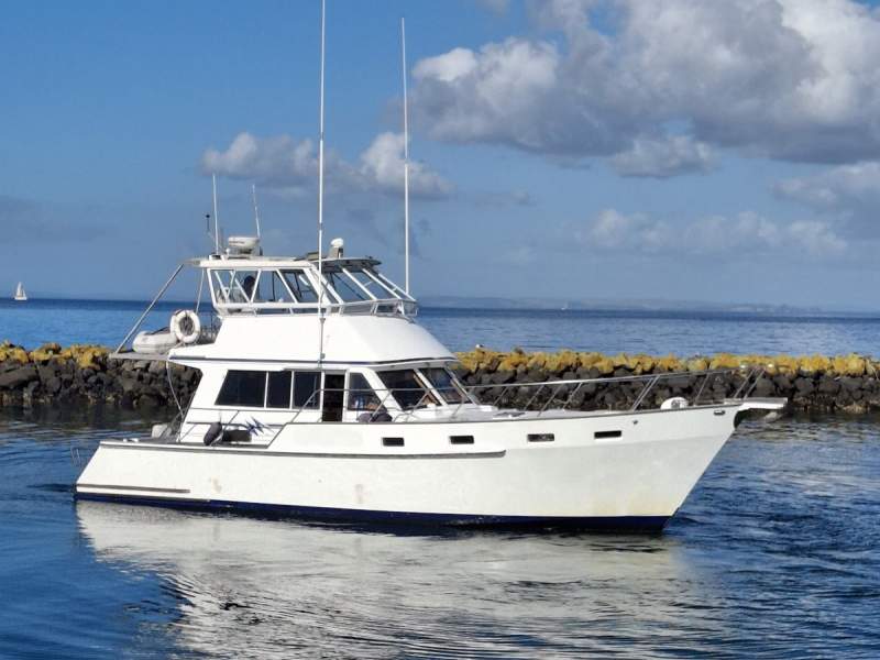 Salthouse 50