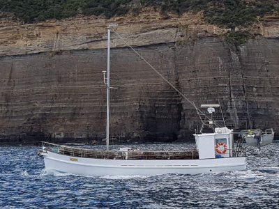 Cayzer timber fishing boat