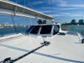 Oram 60 Daggerboard Performance Catamaran:Central raised helm