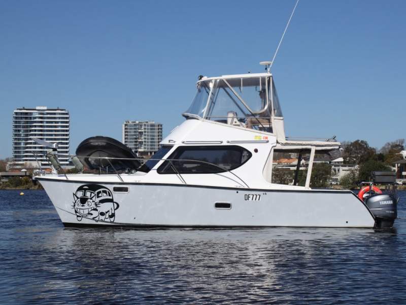 Silver Tiger 10m