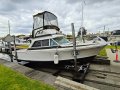 Bertram 25 Flybridge