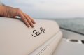 New Sea Ray 280 SLX Sterndrive