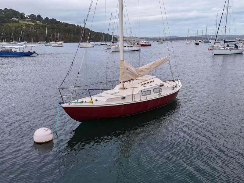 Daydream 28 SUPERBLY BUILT, EXCEPTIONAL CONDITION & PEDIGREE!