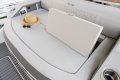 New Sea Ray 310 SLX OB