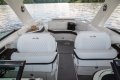 New Sea Ray 310 SLX