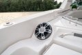 New Sea Ray 350 SLX