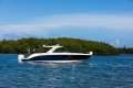 New Sea Ray 400 SLX OB