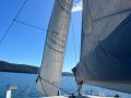 Rogers 31