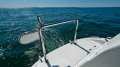 Mustang 2800 Series III Sports Cruiser