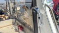 CruiseCraft President 800
