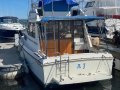 CruiseCraft President 800