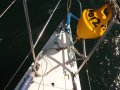 Sydney Yachts 32