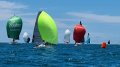 GM8 Racer/Cruiser Trailer Sailor:GM 8 Aqueous Humour