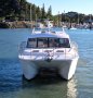 Mark Ellis 15 m custom catamaran