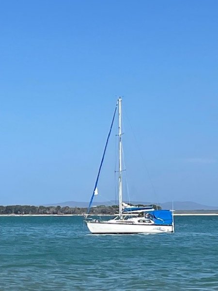 Adams 28