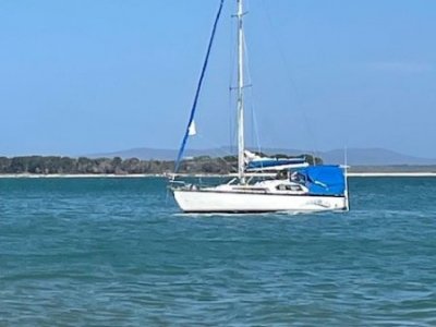 Adams 28