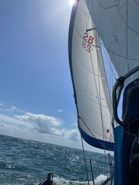 Adams 28