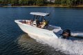 Robalo R230