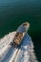 Chris Craft Launch 35 GT