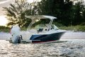 Chris Craft Calypso 24