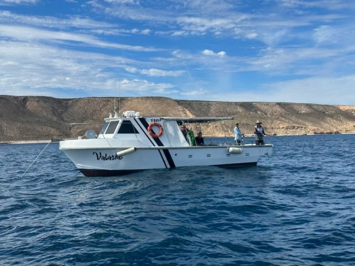 Ferreo Ex Cray Boat