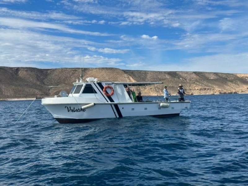 Ferreo Ex Cray Boat