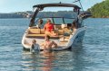 New Sea Ray SDX 250 SURF:Folding swim step